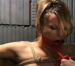 One Frisky Master Breast Bondage Videos